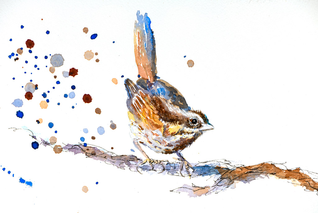 Sparrow: On Top of the World